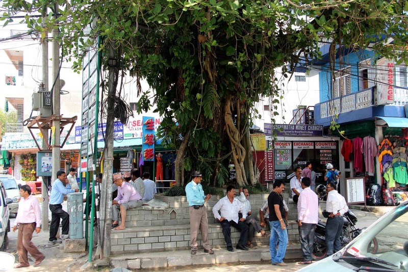 Священное дерево и обыватели Покхары.