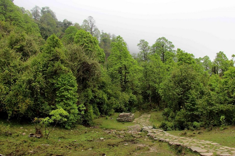 Тропы Непала