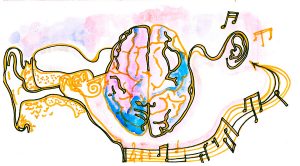 Как игра на музыкальном инструменте воздействует на мозг