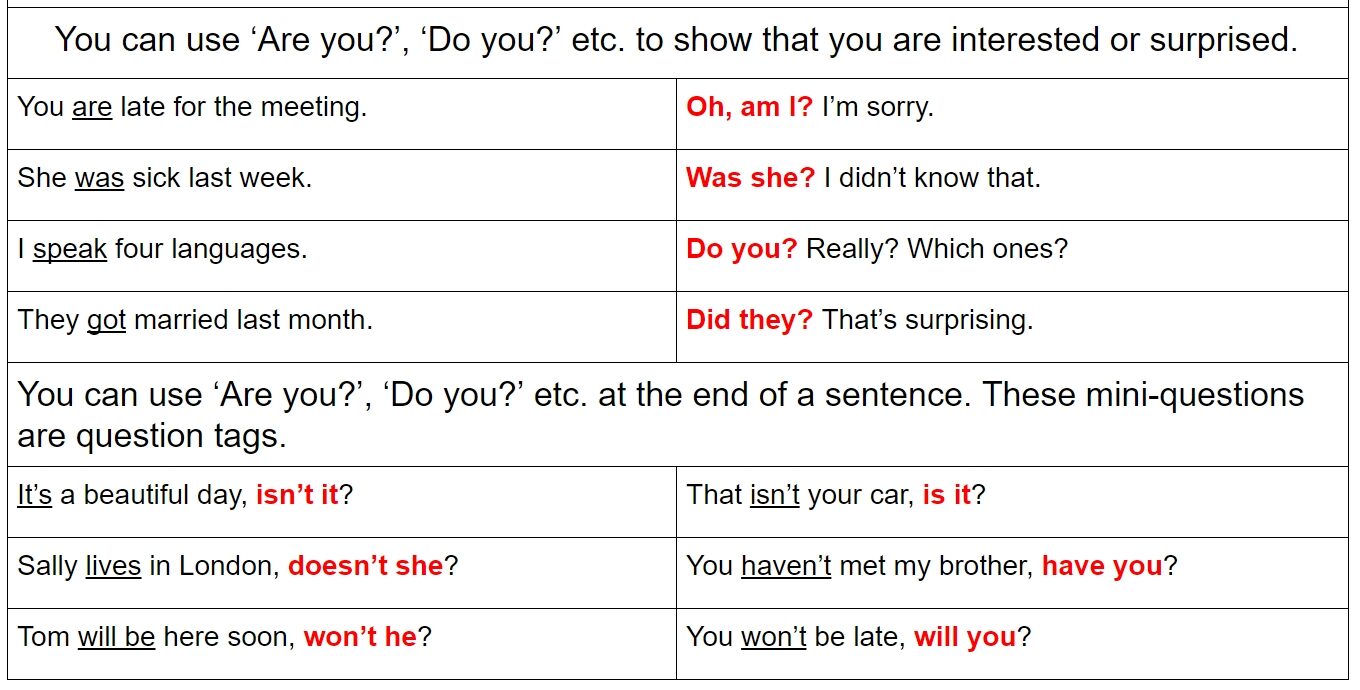 Are you Do you English language grammar 2